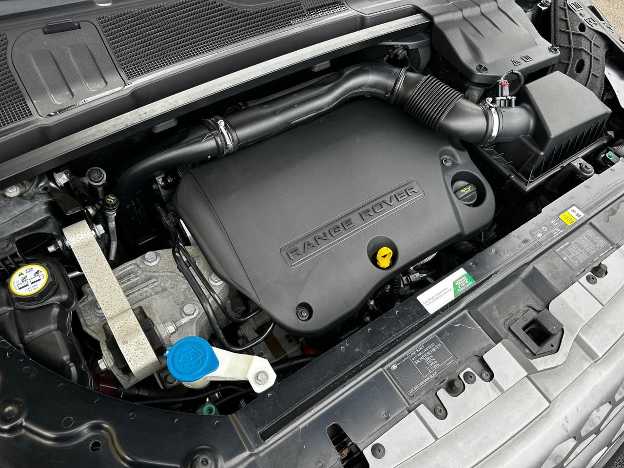 Rover Range Evoque 2.2 TD4 150CV 5p. Pure tech 2012