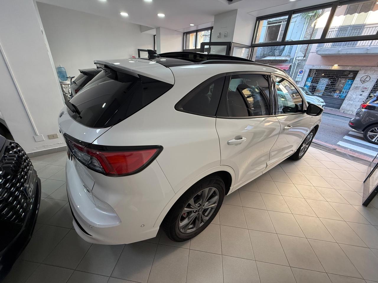 Ford Kuga 2.0 EcoBlue Hybrid 150 CV 2WD ST-Line