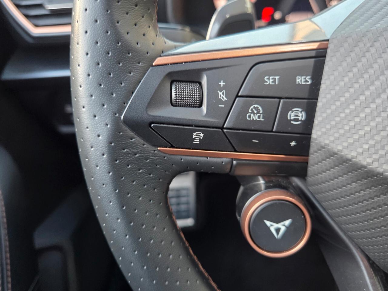 Cupra Formentor 2.0 TDI DSG