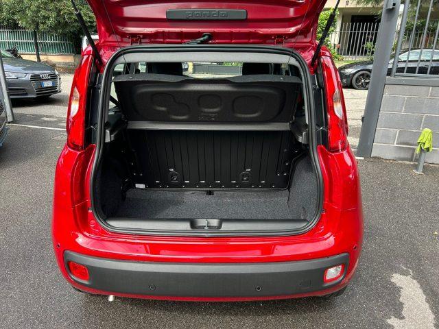 FIAT Panda 1.0 FireFly S&S *PREZZO PROMO*
