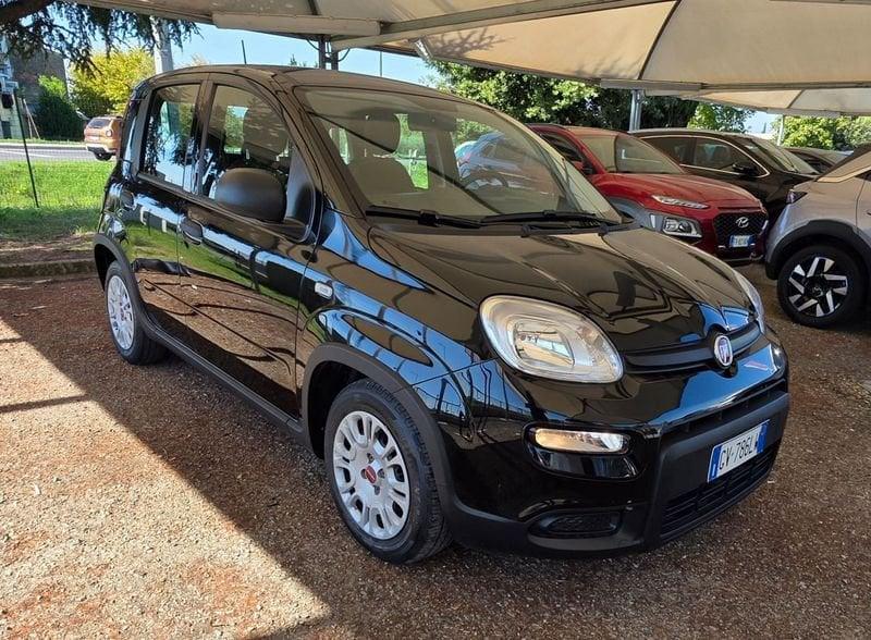 FIAT Panda Panda 1.0 firefly hybrid s&s 70cv 5p.ti