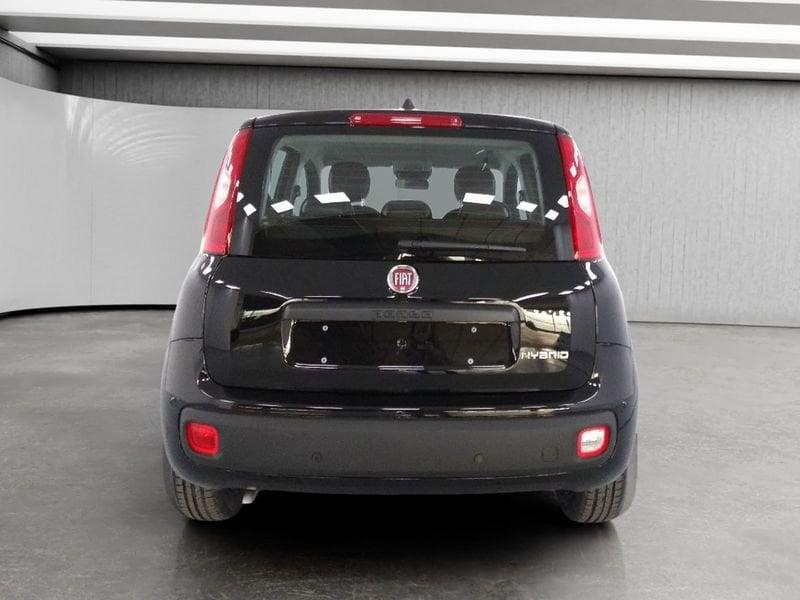 FIAT Pandina 1.0 firefly hybrid Icon s&s 70cv 5p.ti