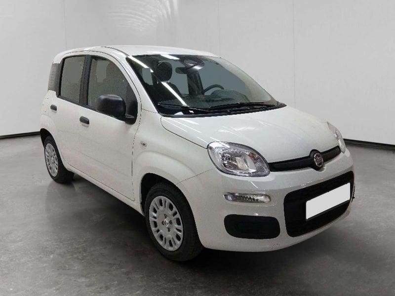 FIAT Pandina 1.0 firefly hybrid Icon s&s 70cv 5p.ti