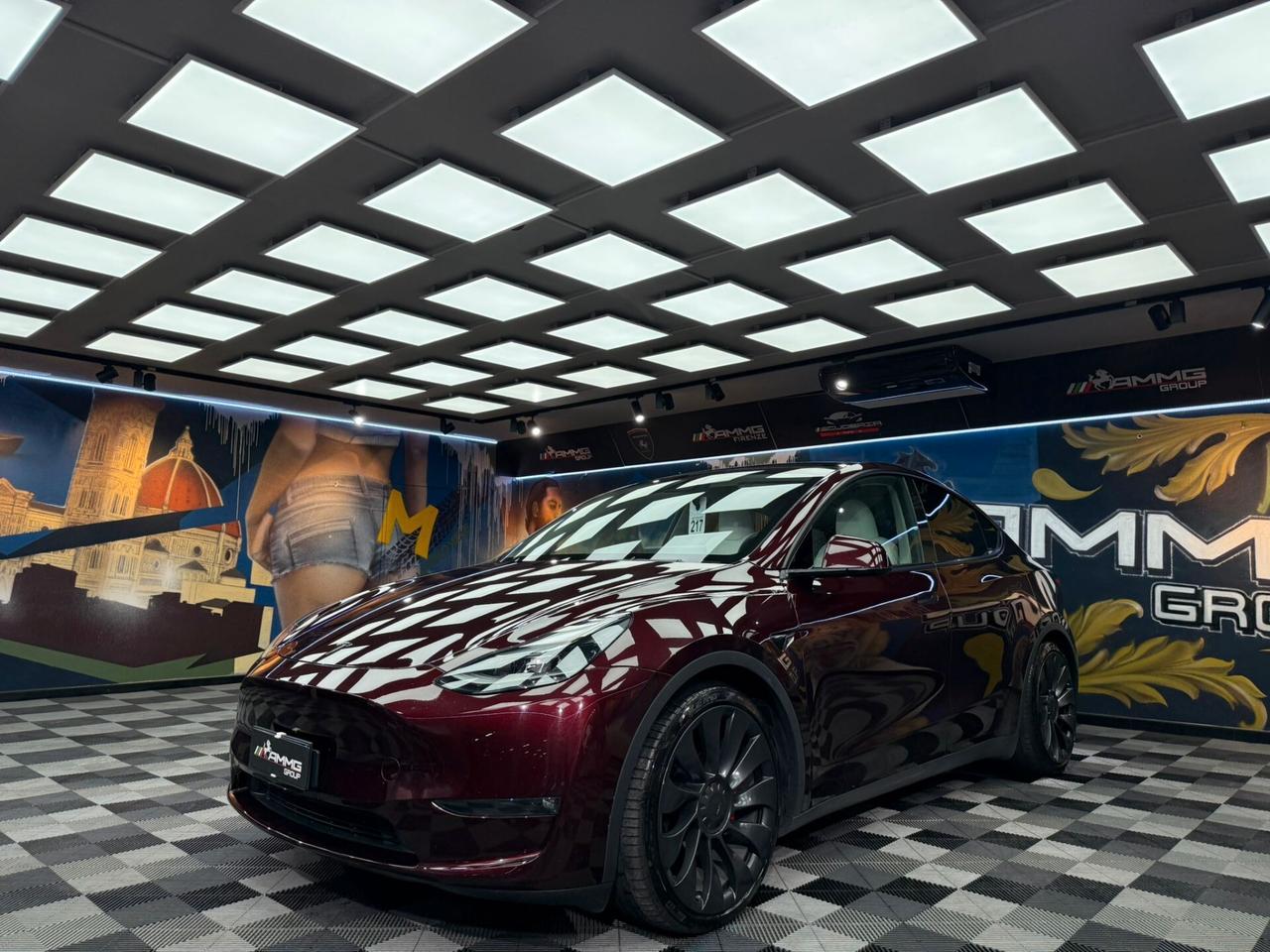 Tesla Model Y AWD Performance (423)