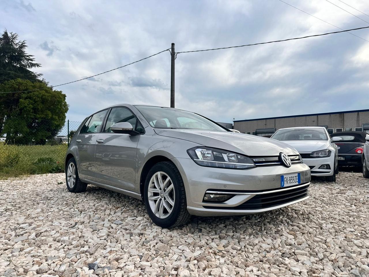 Volkswagen Golf 1.4 TGI 5p. Executive BlueMotion