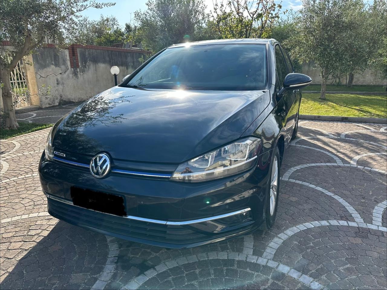 Volkswagen Golf 1.6 TDI 115 CV 5p. Executive BlueMotion Technology