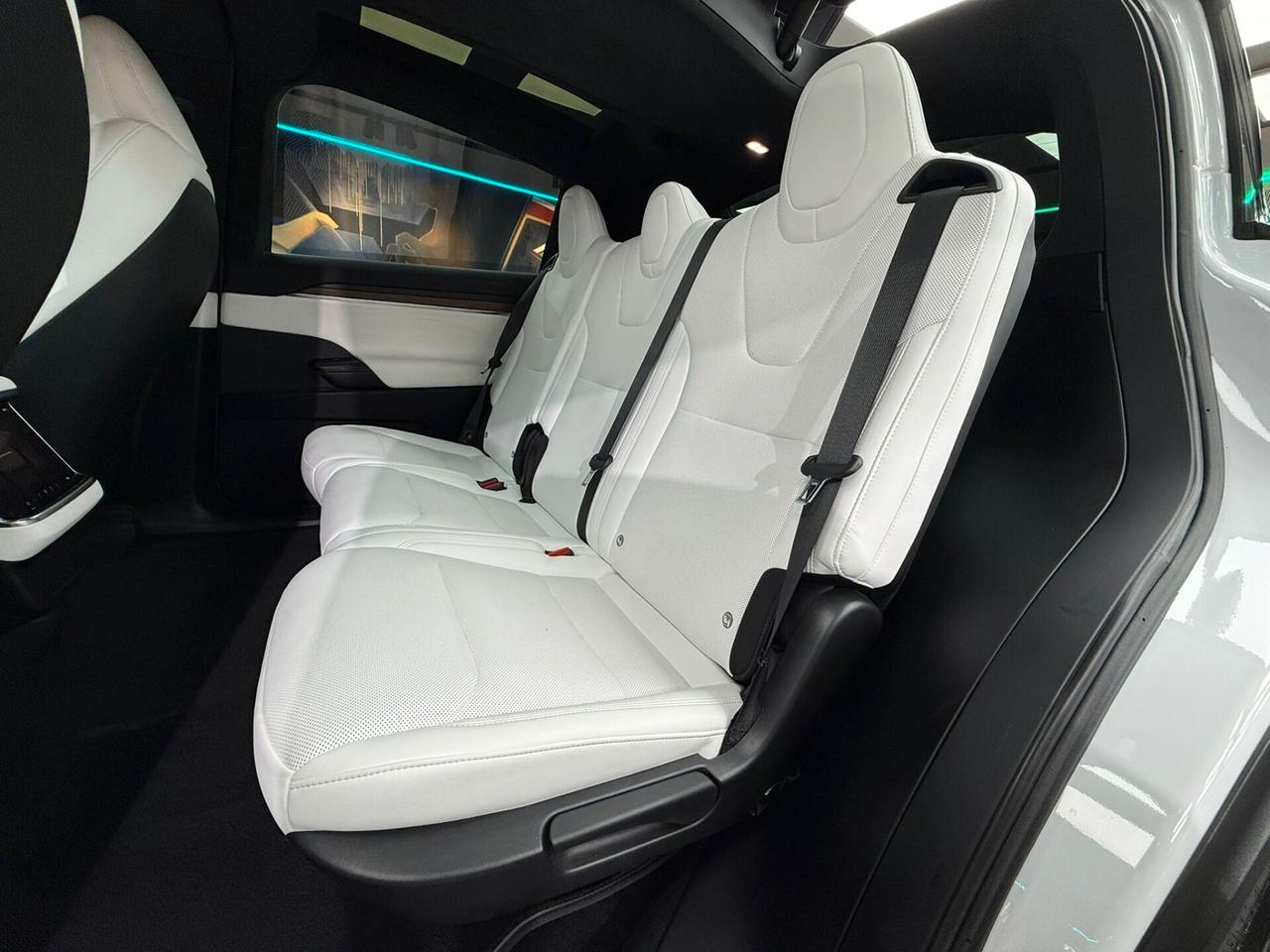 Tesla Model X LONG RANGE (329)