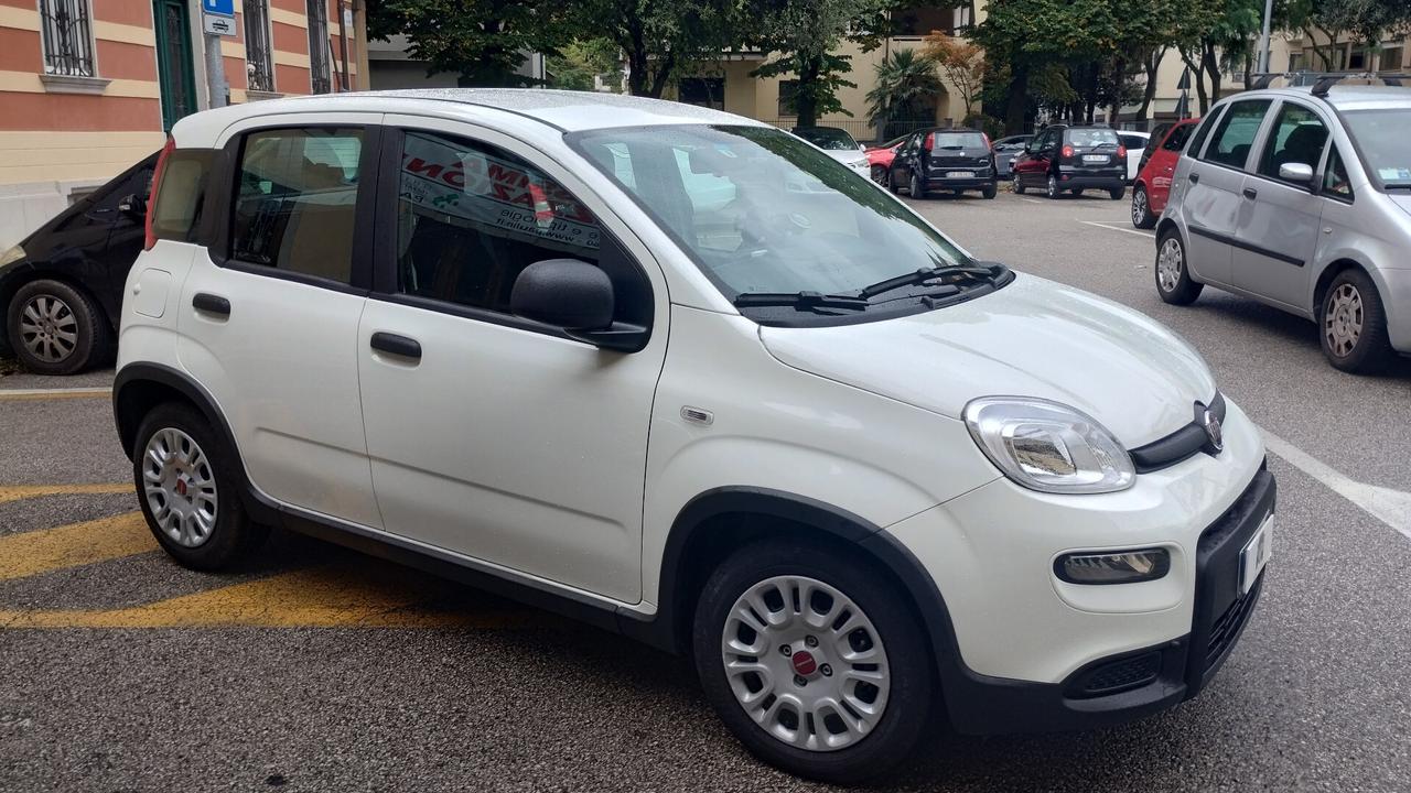 Fiat Panda 1.0 FireFly S&S Hybrid NEOPATENTATI