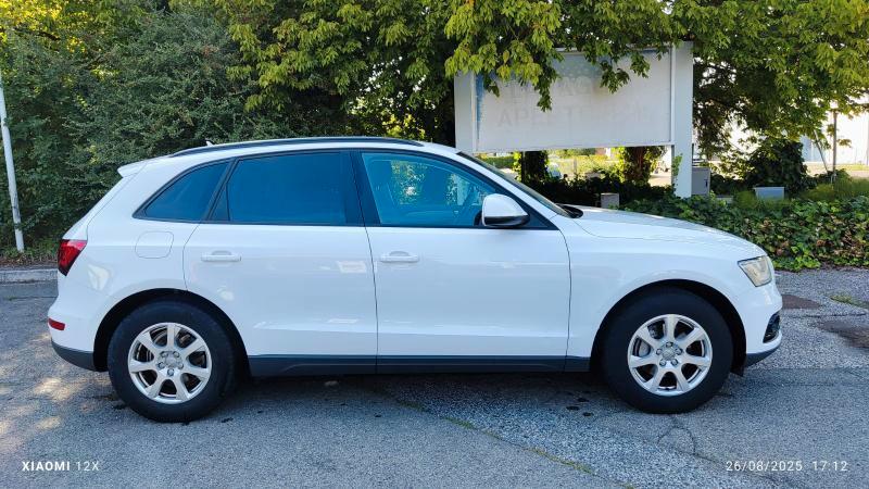 Audi Q5 2.0 tdi Business 143cv OK NEOPATENTATO