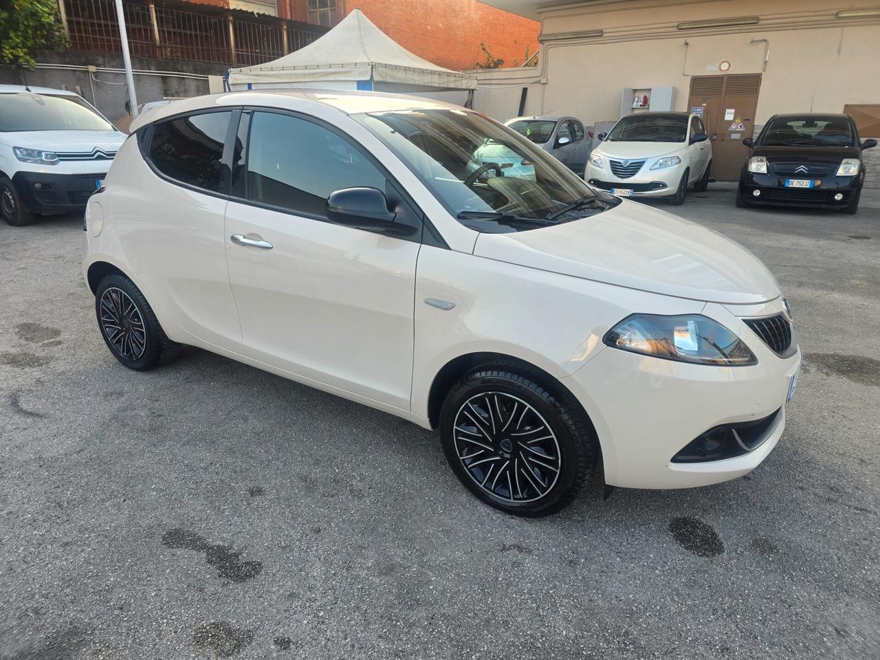 Lancia Ypsilon 1.2 69 CV 5 porte GPL Gold Plus