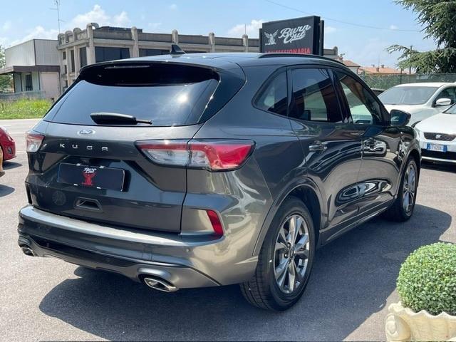Ford Kuga 1.5 EcoBlue 120 CV 2WD ST-Line X