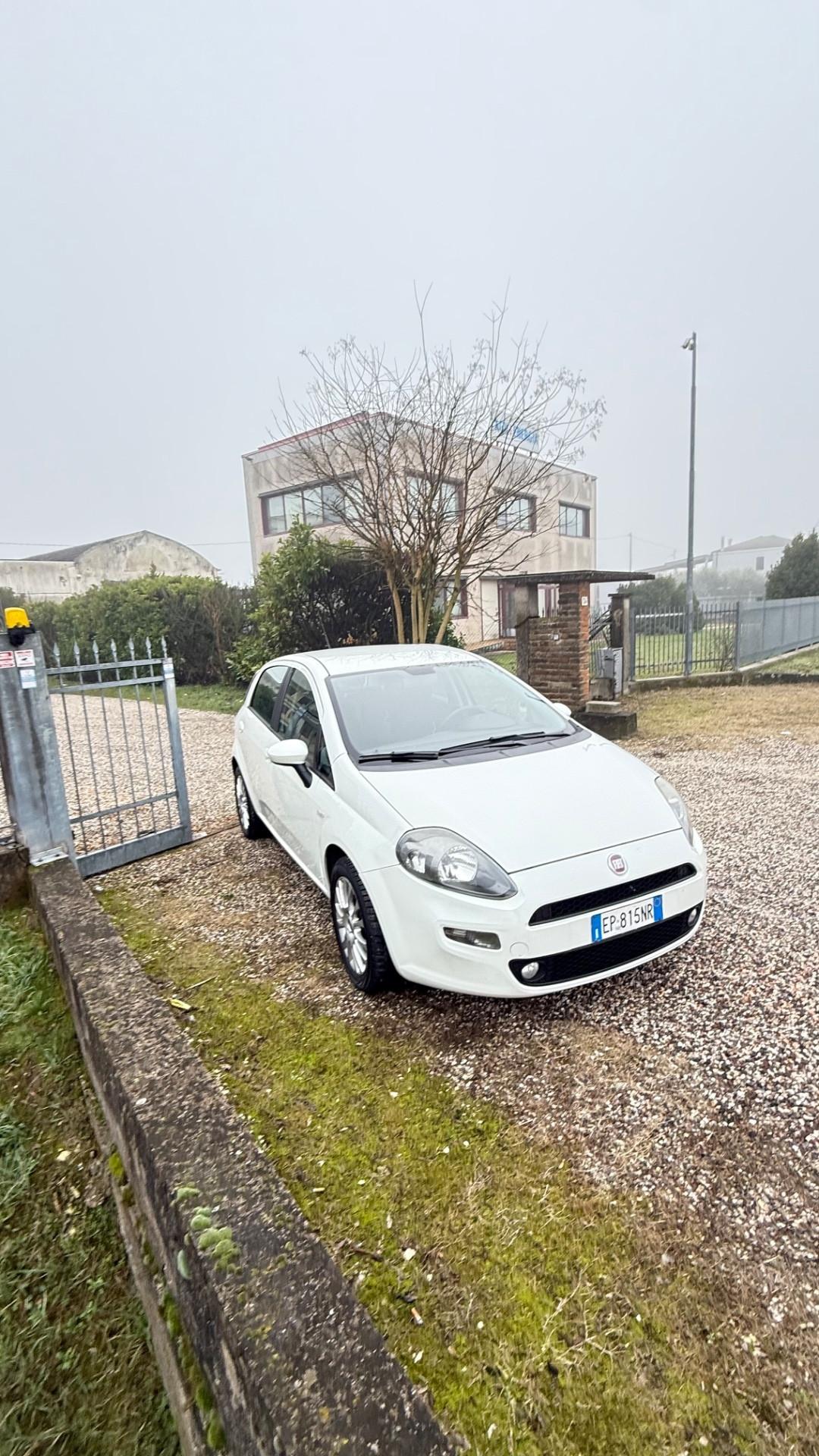 Fiat Punto 1.4 S&S 8V 5 porte Easy