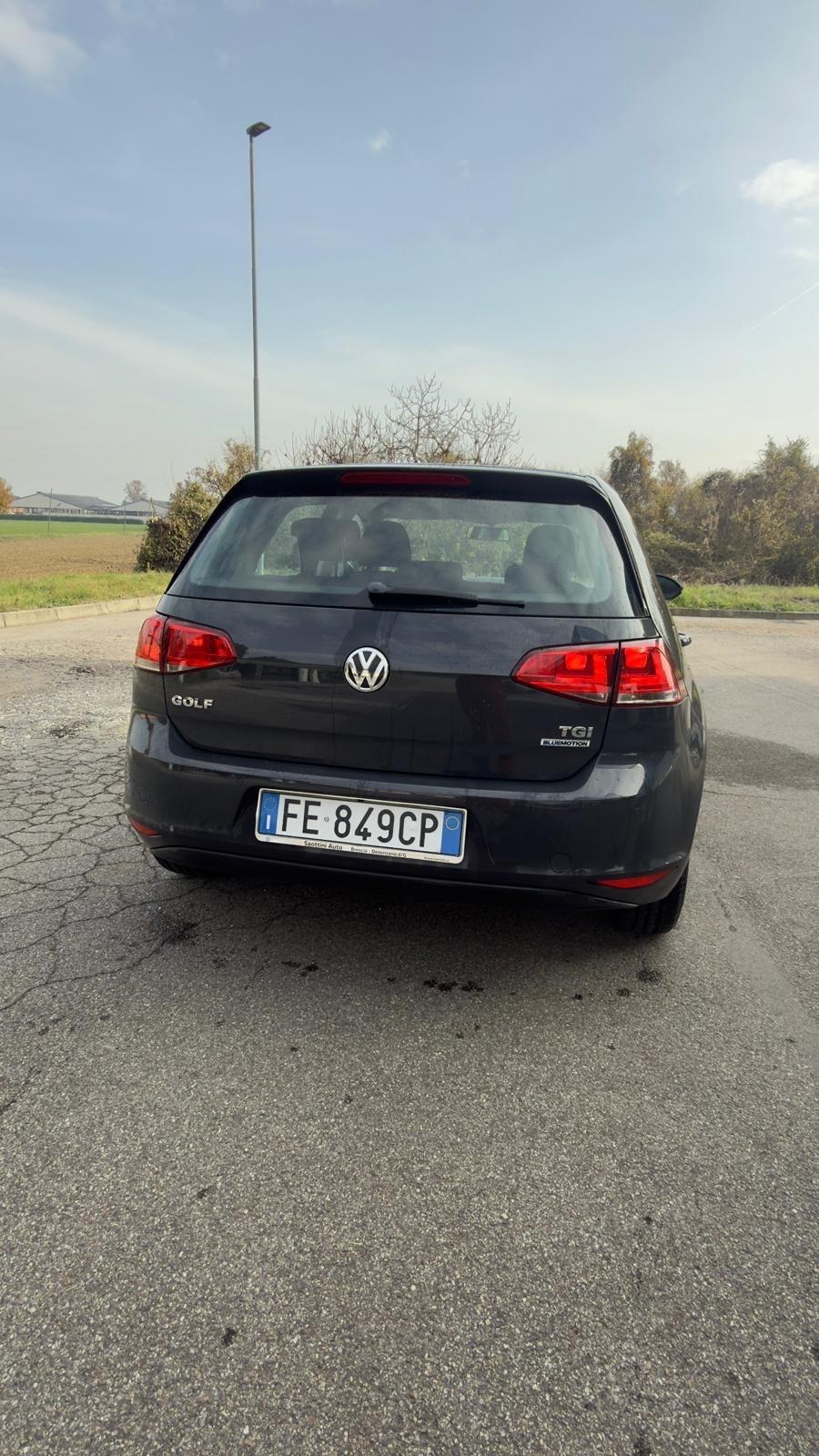 Volkswagen Golf 1.4 TGI 5p. Trendline BlueMotion