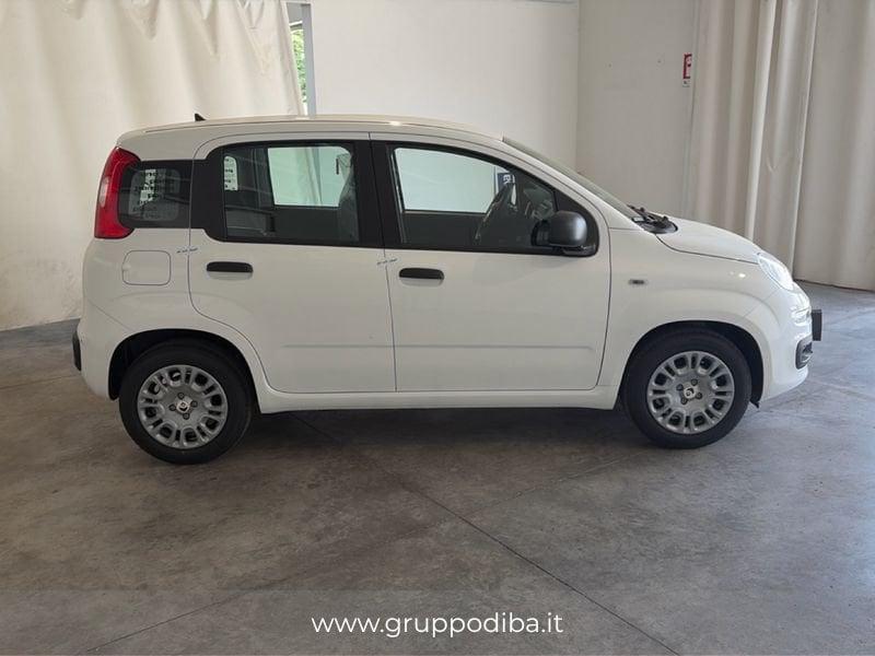 FIAT Pandina 1NA My26 1.0 65cv Hybrid Pop