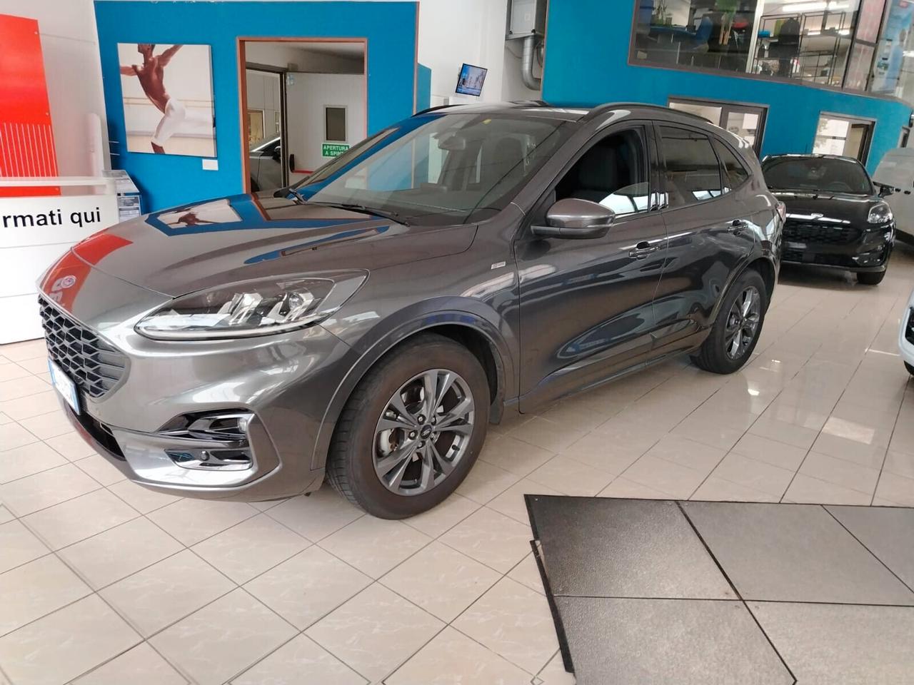 Ford Kuga 1.5 EcoBlue 120 CV aut. 2WD ST-Line