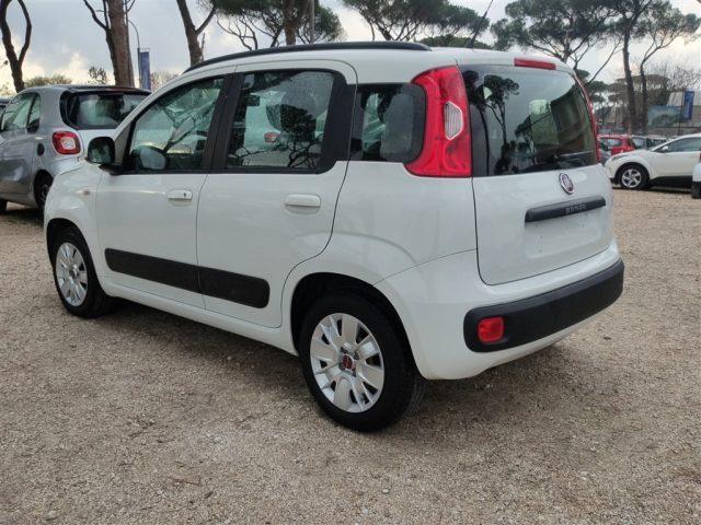 FIAT Panda New 1.2 Lounge CLIMA OK NEOPATENTATI ..