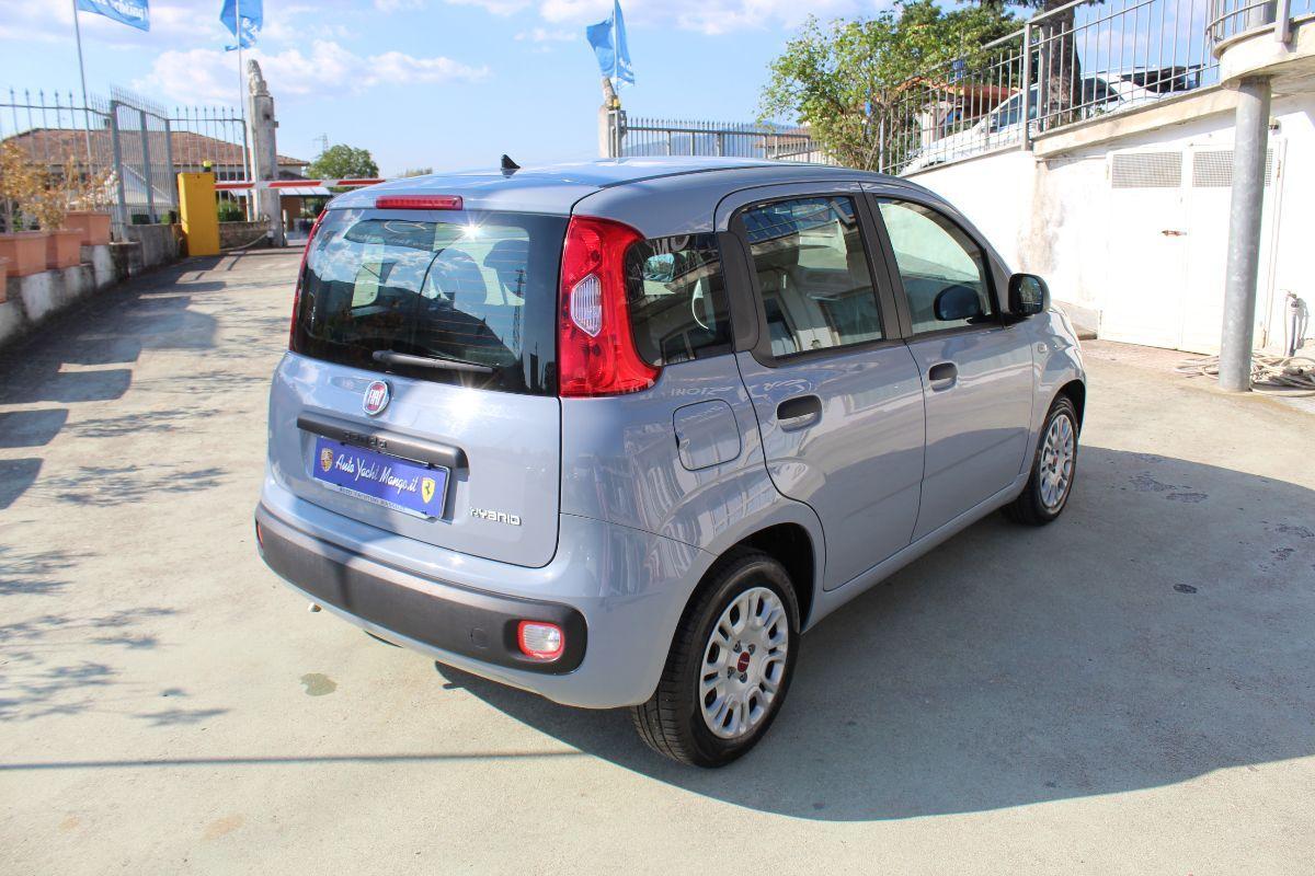 FIAT - Panda - 1.0 FireFly S&S Hybrid