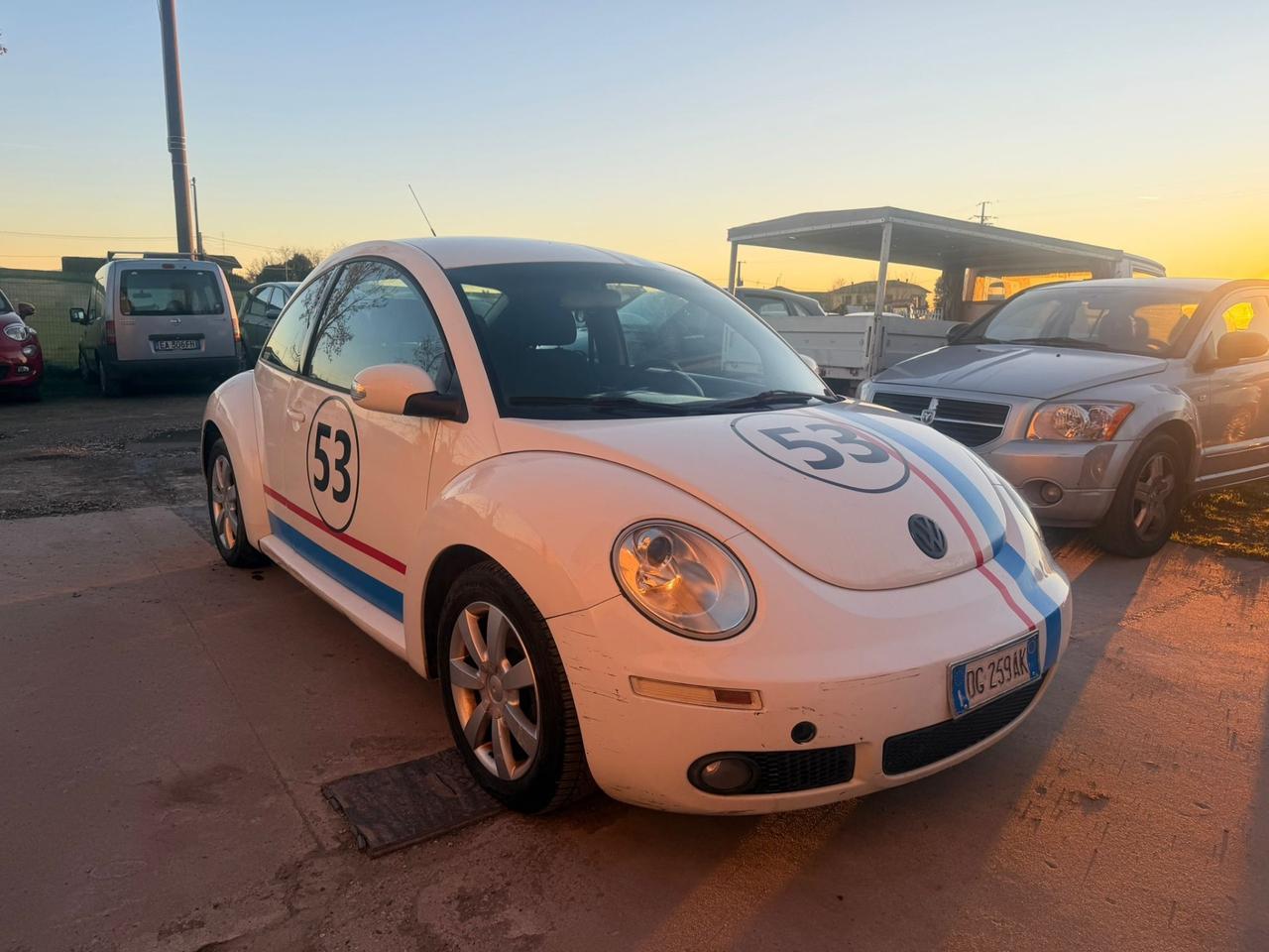 Volkswagen New Beetle 1.9 TDI 105CV