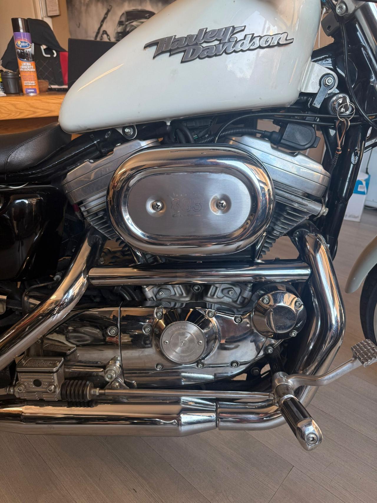 Harley-davidson 883 Sportster Custom