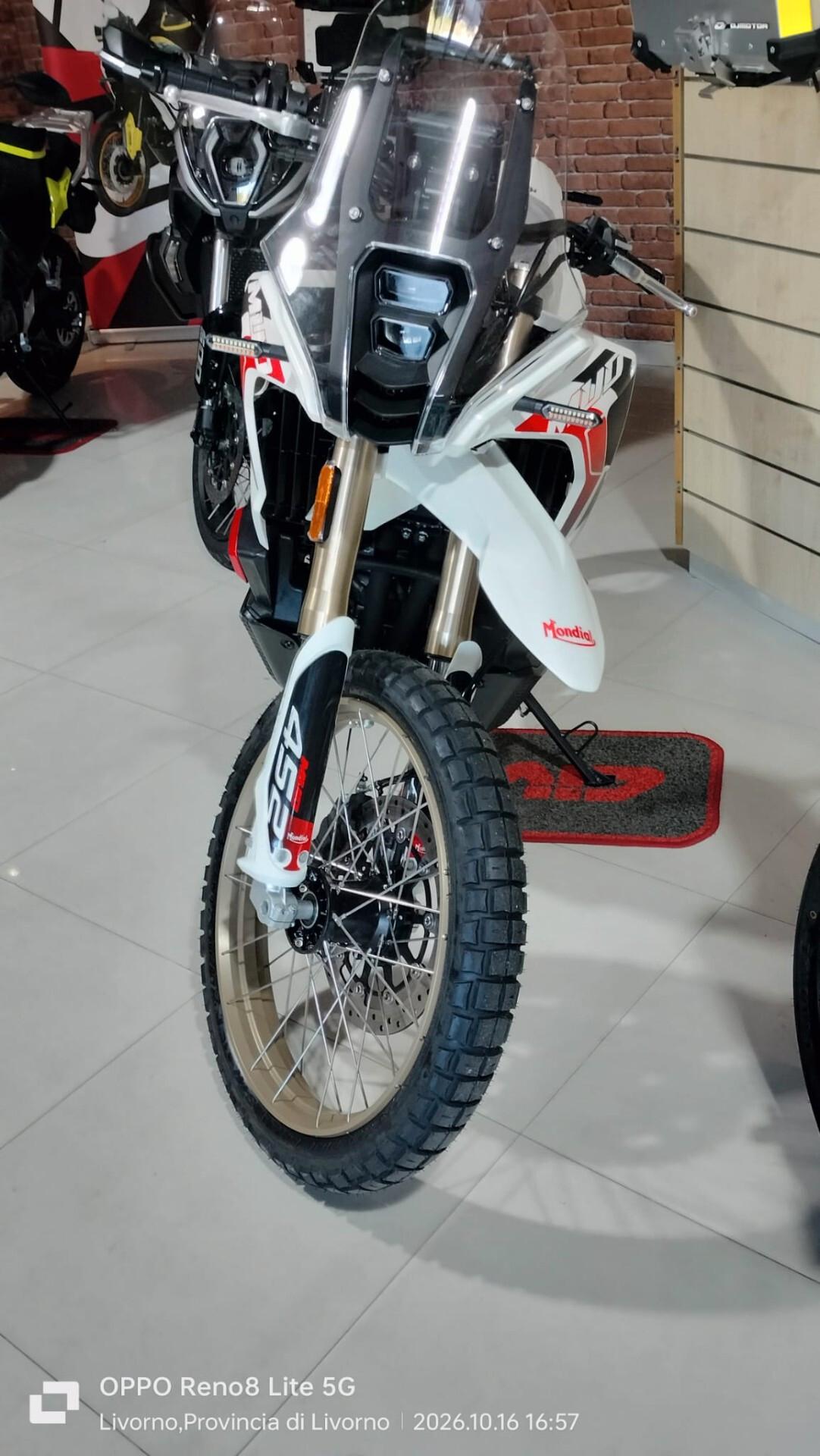 F.b. Mondial Mud 452