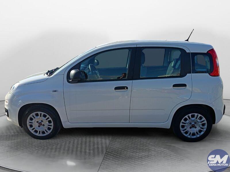 FIAT Panda 1.0 FireFly 70cv S&S Hybrid