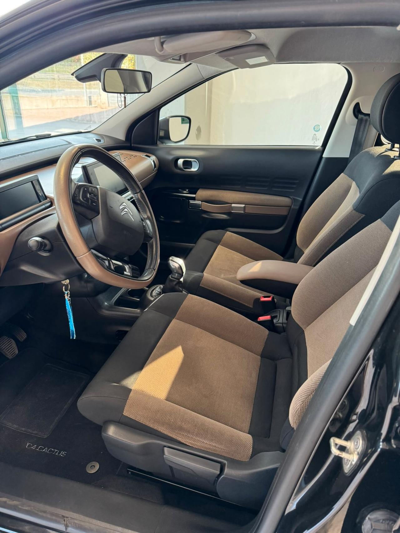 Citroen C4 Cactus BlueHDi 100 Shine
