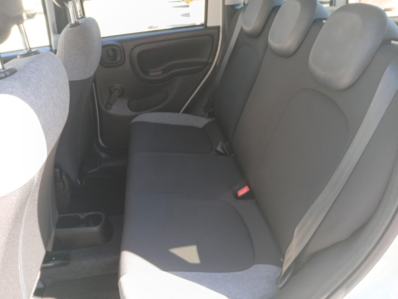 FIAT PANDA 1.0 FIREFLY HYBRID CITY LIFE 2023
