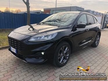 FORD Kuga 1.5 EcoBlue 120 CV aut. 2WD ST-Line