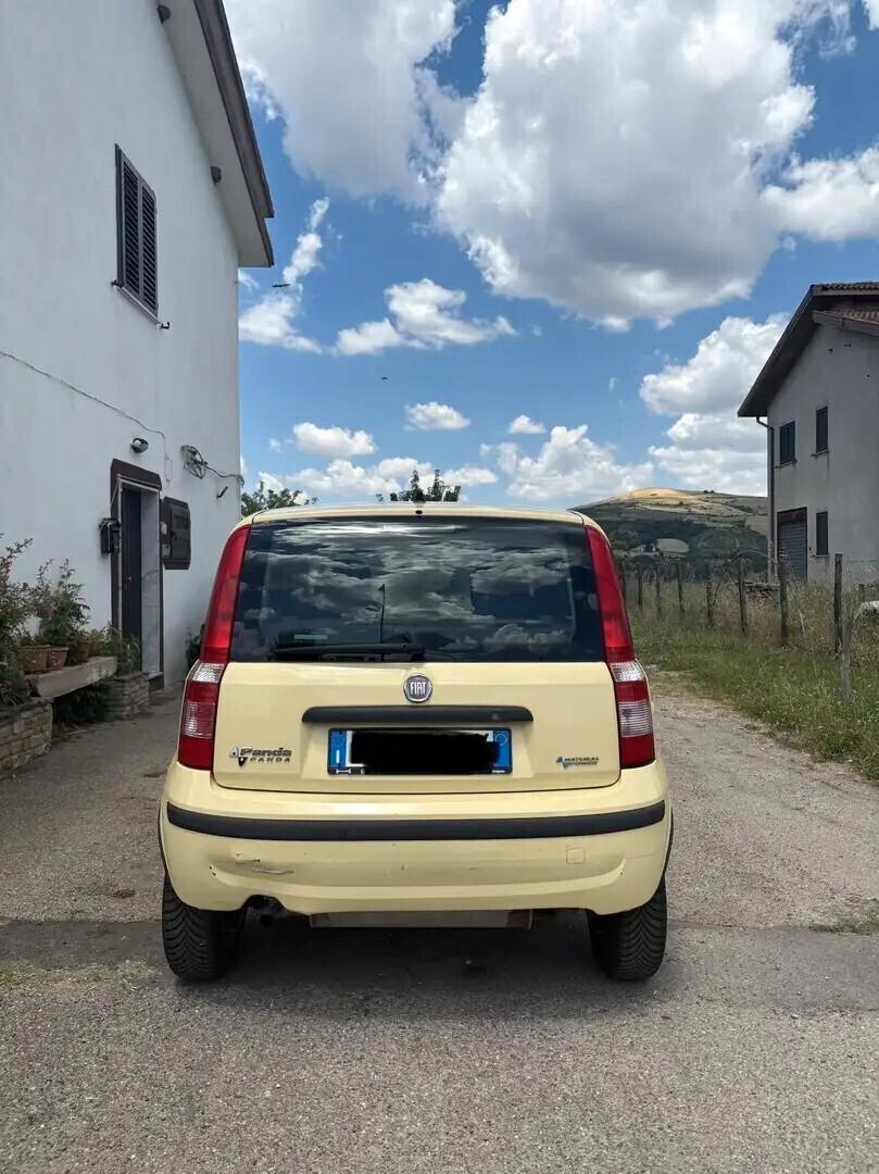 Fiat Panda 1.2 Dynamic Natural Power Mamy