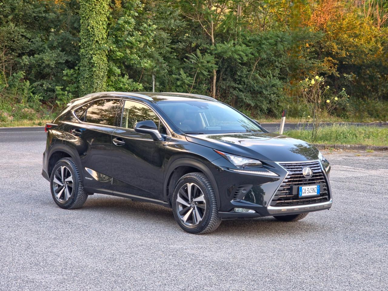 Lexus NX 300h Hybrid 4WD F-Sport E6 Automatico 2020