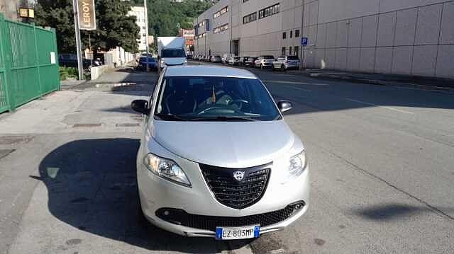 Lancia Ypsilon 1.2 69 CV 5 porte Elefantino