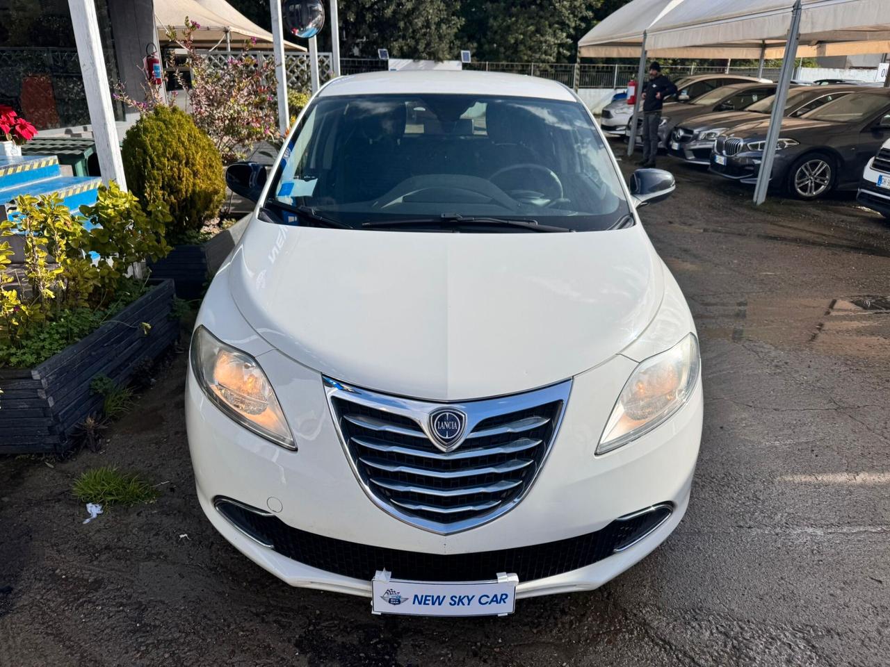 Lancia Ypsilon 1.3 MJT 16V 95 CV 5p. S&S Platinum