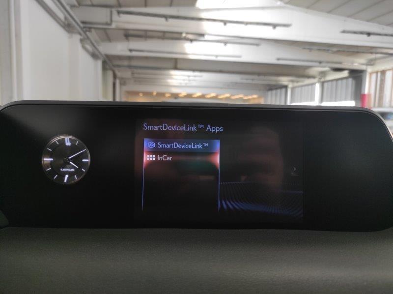 LEXUS UX - UX Hybrid Business