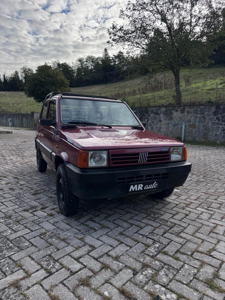 Fiat Panda 1.1 Fire Trekking 4x4 cat.