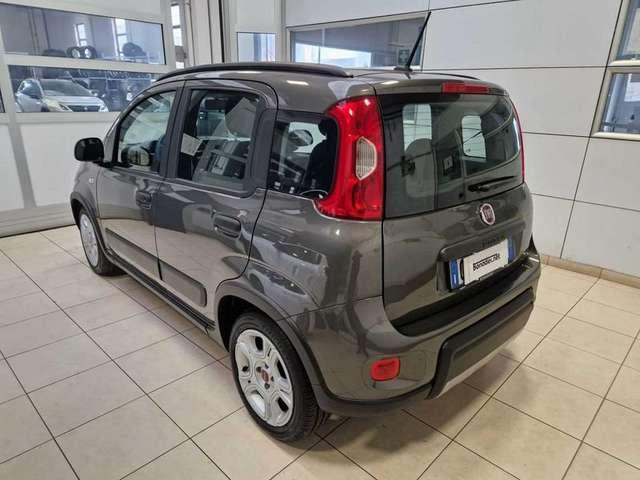 Fiat Panda 3ª serie 1.0 FireFly S&S Mild - Hybrid City Life