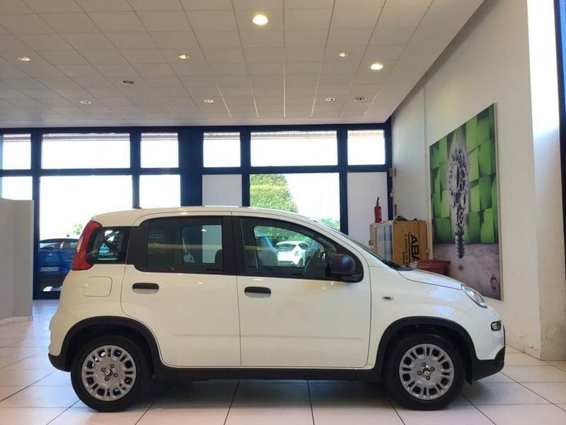 FIAT Panda S7 1.0 FireFly Hybrid - ECOBONUS OTTOBRE EURO 0-2