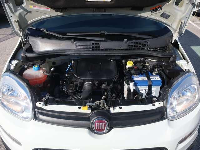 Fiat Panda Panda III 2021 1.0 firefly hybrid s&s