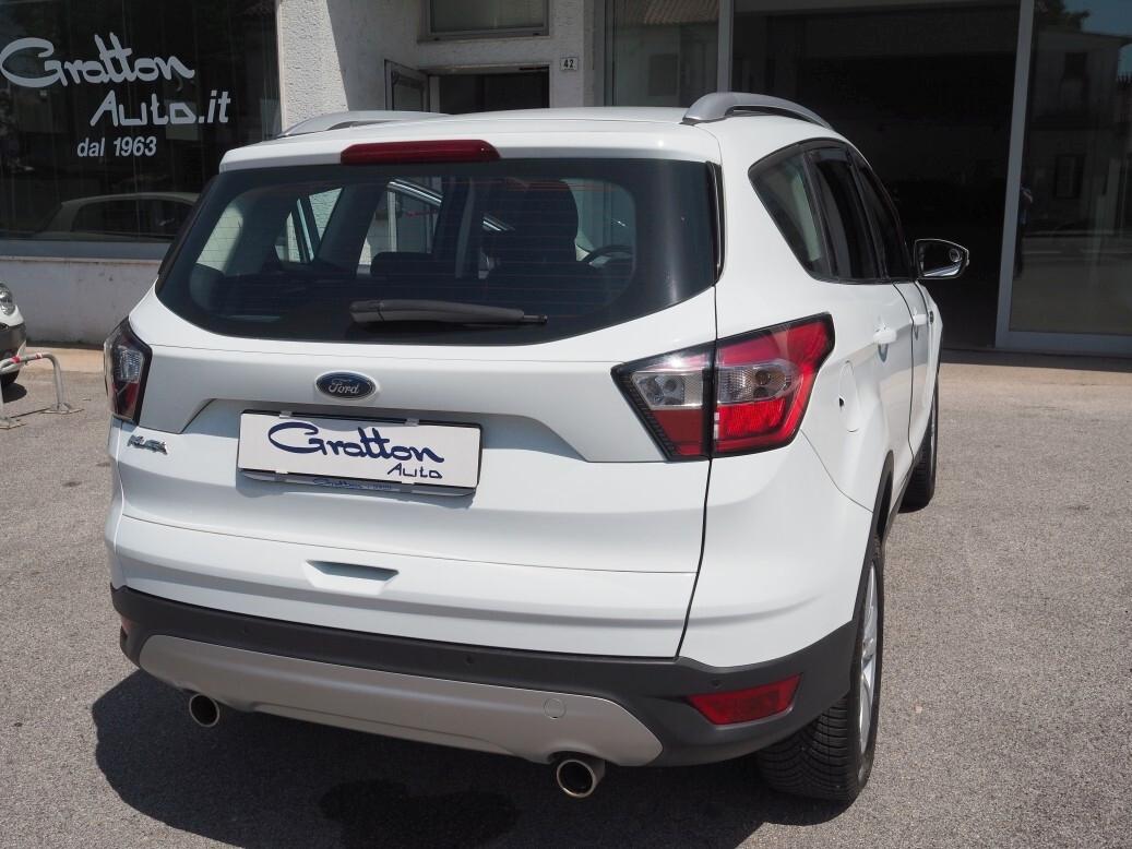 Ford Kuga 1.5 Benzina 120 CV Business del 2019