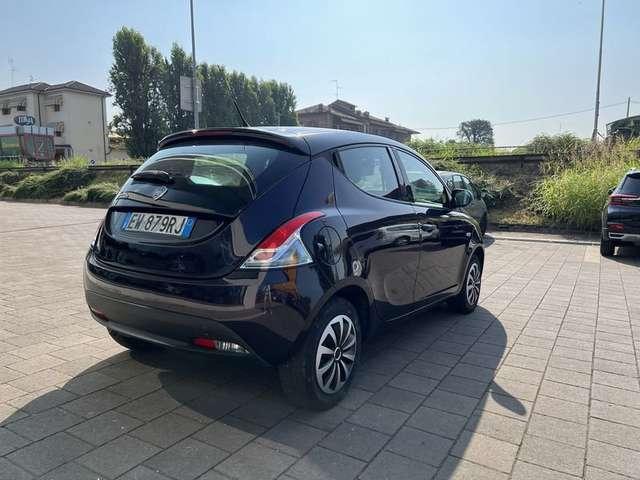 Lancia Ypsilon Ypsilon 1.2 69 CV 5 porte Elefantino