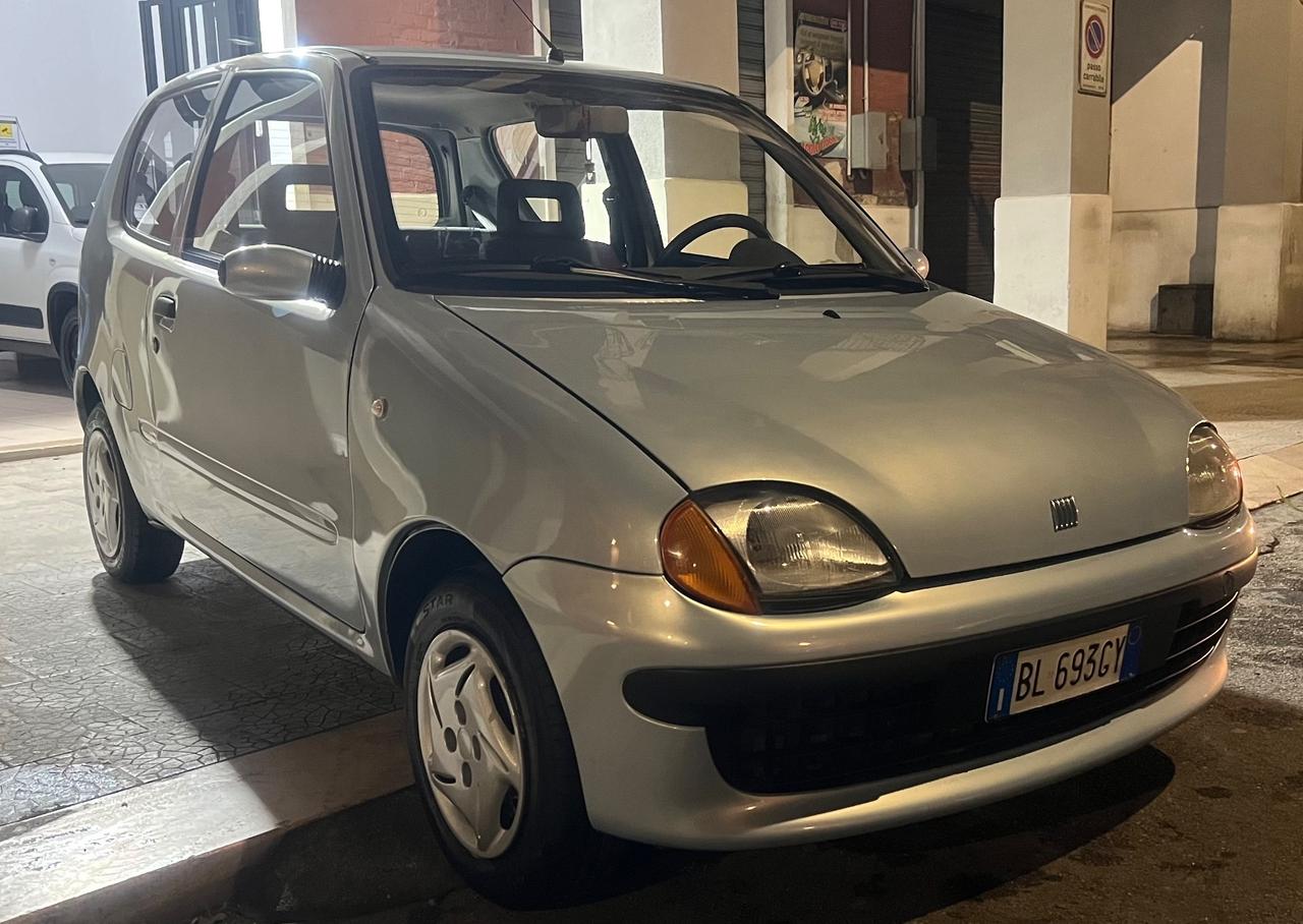 Fiat Seicento 900i cat Young