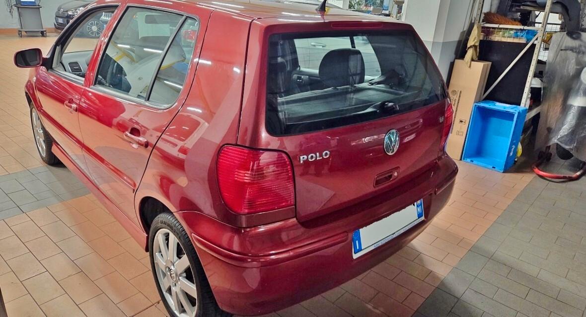 Volkswagen Polo 1.4 16V cat 5p. Highline