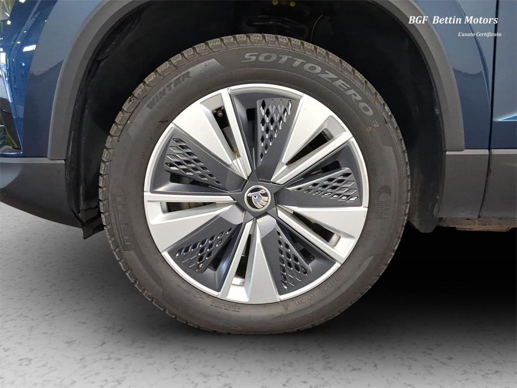 Skoda Karoq 2.0 tdi evo Executive 115cv dsg