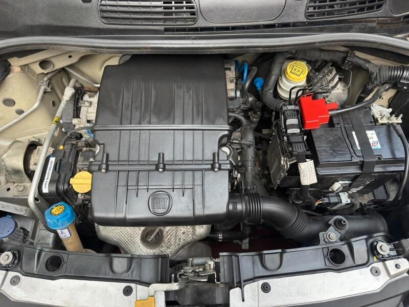 FIAT Panda 3ª serie Panda 1.2 Easy