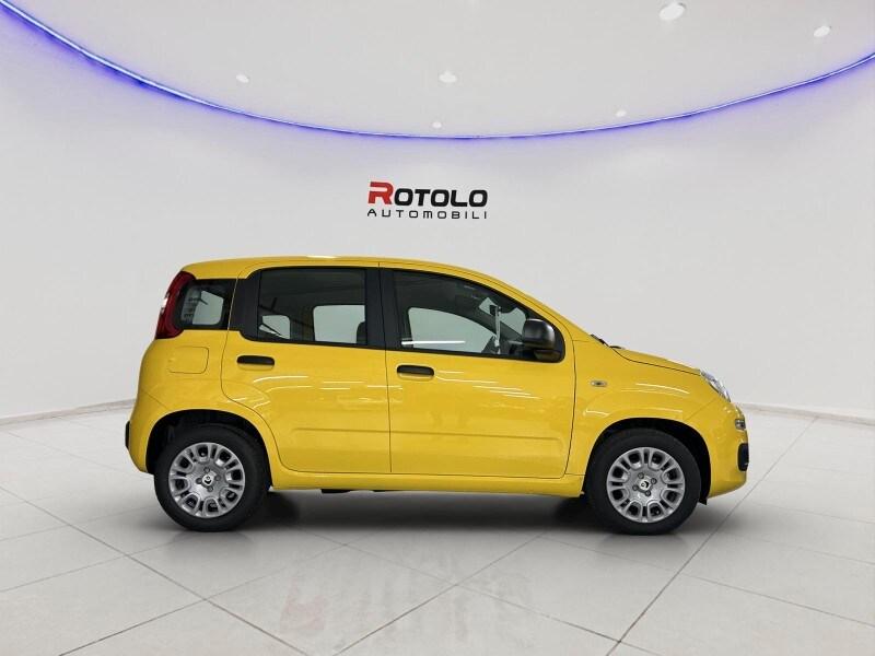 FIAT Panda 3ª serie Panda 1.0 FireFly S&S Hybr...