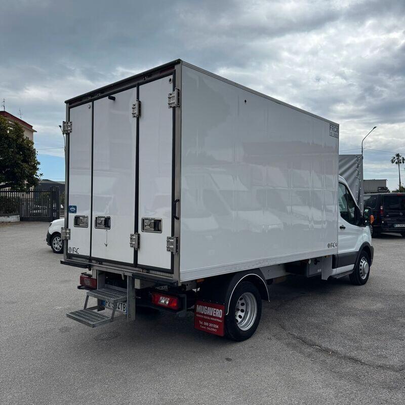 FORD TRANSIT 2.0tdci 170cv FRIGO