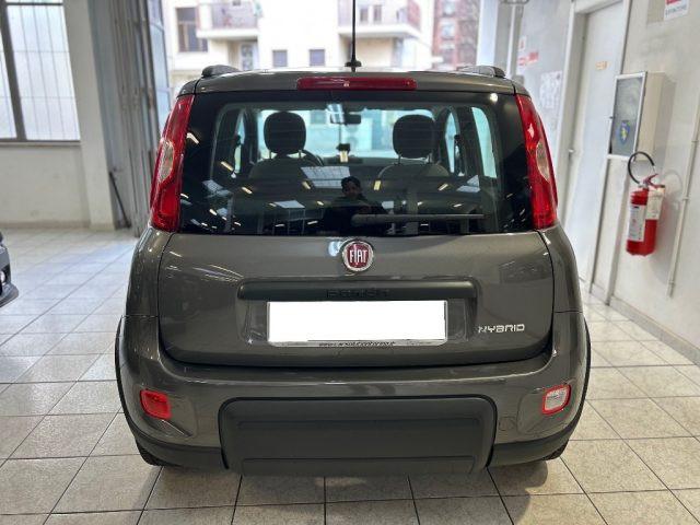 FIAT Panda 1.0 FireFly S&S Hybrid City Life