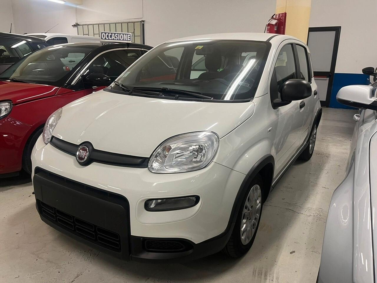 Fiat Panda 1.0 FireFly S&S Hybrid Icon