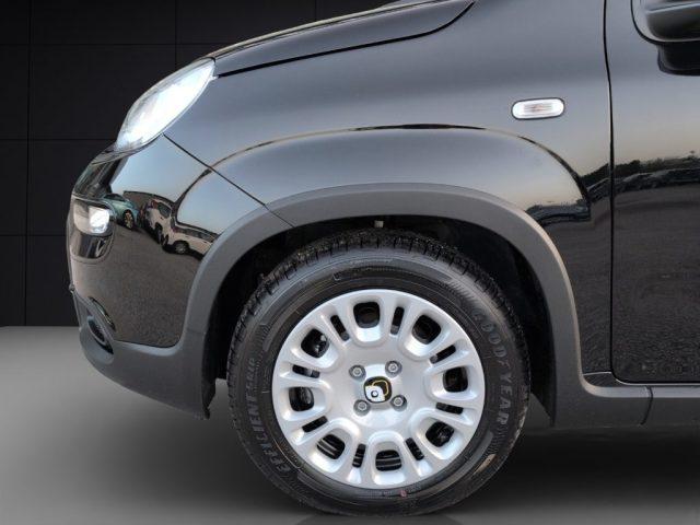 FIAT Panda 1.0 FireFly S&S Hybrid Pandina