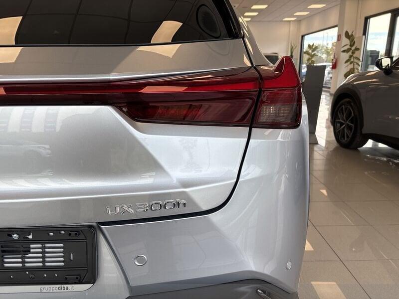 Lexus UX UX250H UX300H 2WD F-DESIGN MY24