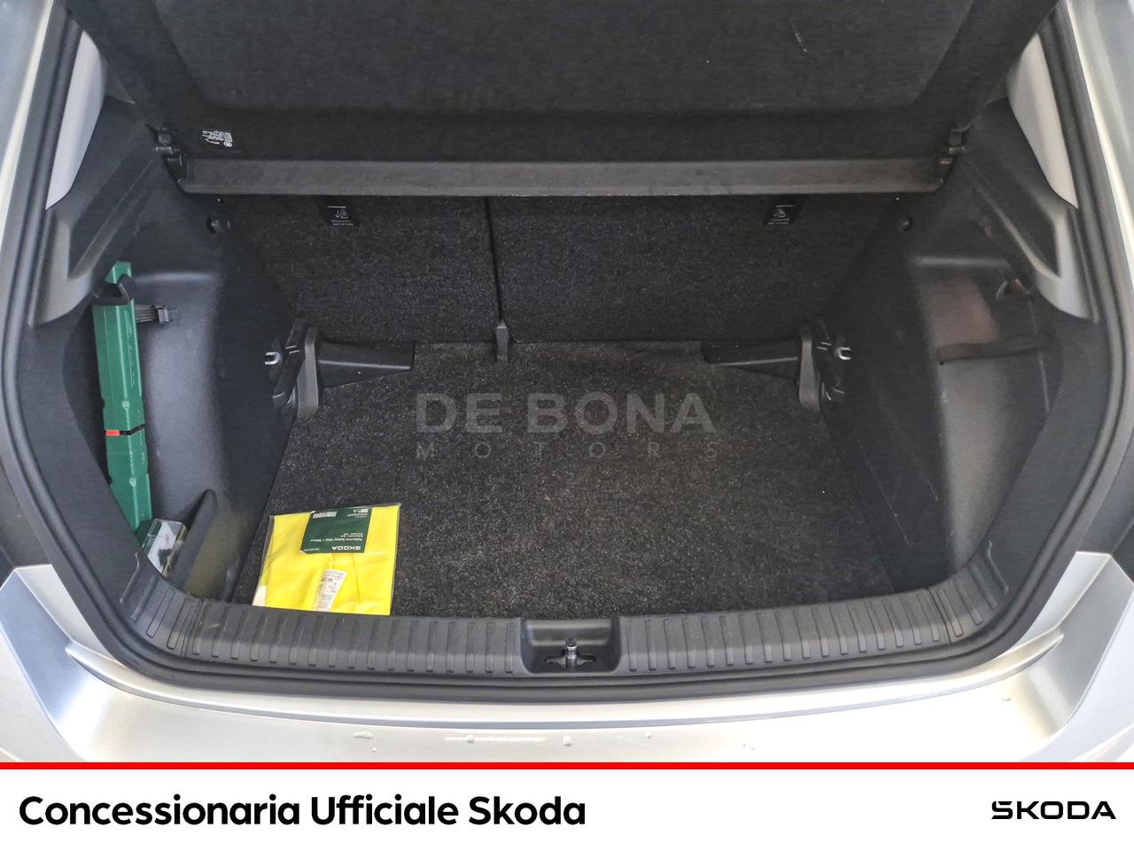 Skoda Fabia 1.0 tsi young edition 95cv